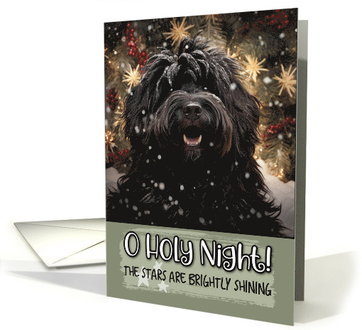 Hungarian Puli O Holy Night Christmas card (1799520)