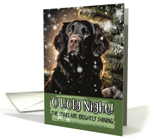 Flat Coated Retriever O Holy Night Christmas card (1799522)
