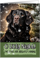 Flat Coated Retriever O Holy Night Christmas card