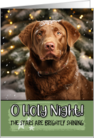 Chesepeake Bay Retriever O Holy Night Christmas card
