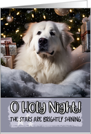 Great Pyrenees O Holy Night Christmas card