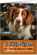 Brittany O Holy Night Christmas card