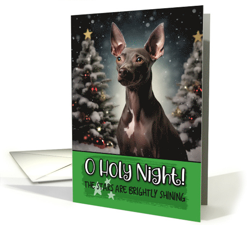 American Hairless Terrier O Holy Night Christmas card (1799550)