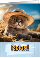 Congratulations Retirement Exotic Shorthair Cat on Beach card