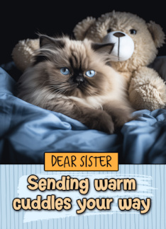 Sister Warm Cuddles...