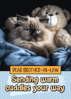 Brother in Law Warm Cuddles Himalayan Cat