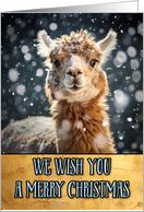 Alpaca Merry Christmas card