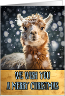 Alpaca Merry...