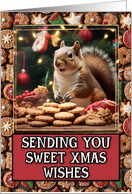 Squirrel Sweet Christmas Wishes card