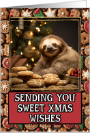 Sloth Sweet Christmas Wishes card