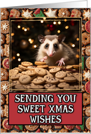 Opossum Sweet Christmas Wishes card