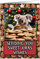Koala Sweet Christmas Wishes card
