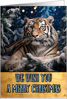 Tiger Merry...