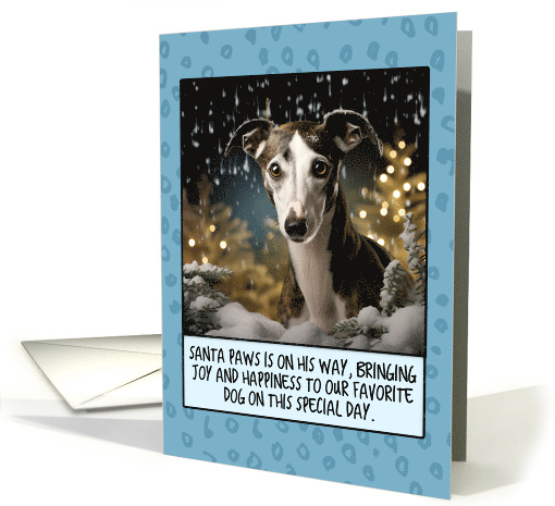 Whippet Christmas card (1803872)