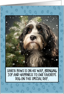 Tibetan Terrier Christmas card
