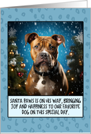 Staffordshire Terrier Christmas card