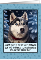 Siberian Husky Christmas card