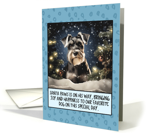 Schnauzer Christmas card (1803914)