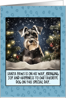 Schnauzer Christmas card