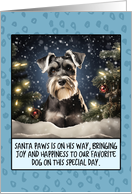 Schnauzer Christmas