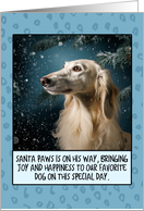 Saluki Christmas card