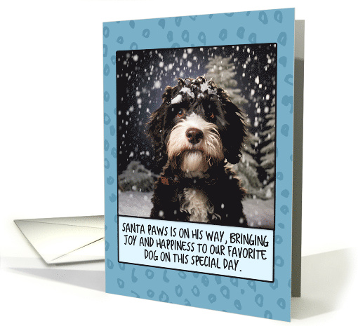 Portuguese Water Dog Christmas card (1803924)