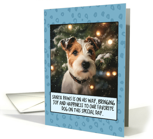 Parson Russel Terrier Christmas card (1803930)