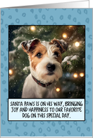 Parson Russel Terrier Christmas card