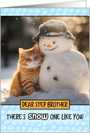 Step Brother Ginger Cat and Snowman card