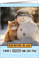 Mother in Law Ginger Cat and Snowman card