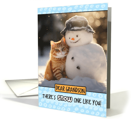 Grandson Ginger Cat and Snowman card (1804378)