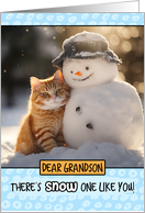 Grandson Ginger Cat and Snowman card