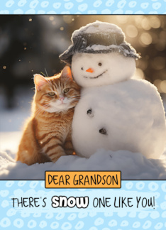 Grandson Ginger Cat and Snowman
