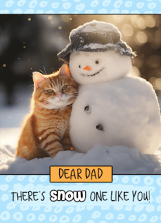 Dad Ginger Cat and...