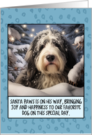Old English Sheepdog Christmas card
