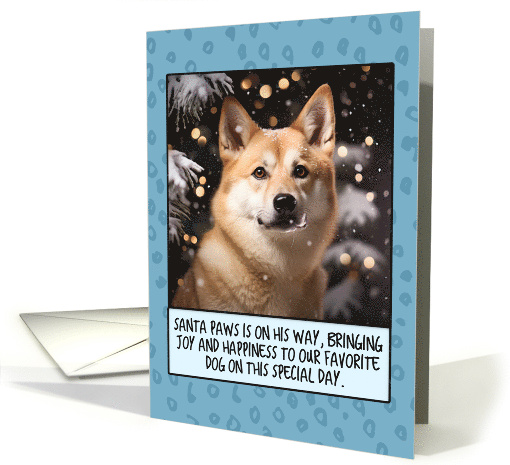 Norwegian Buhund Christmas card (1804476)