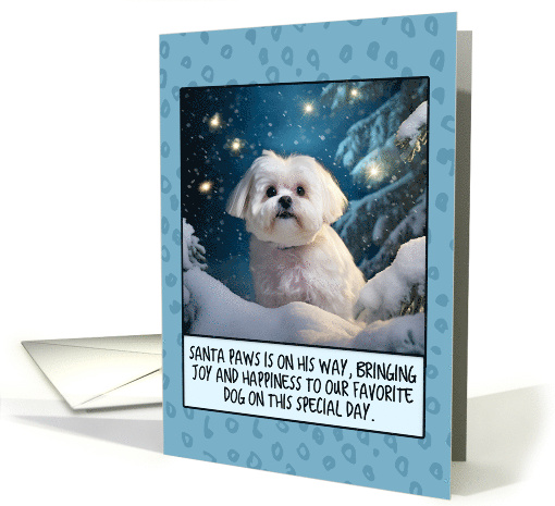 Maltese Dog Christmas card (1804486)