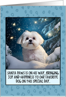 Maltese Dog Christmas card