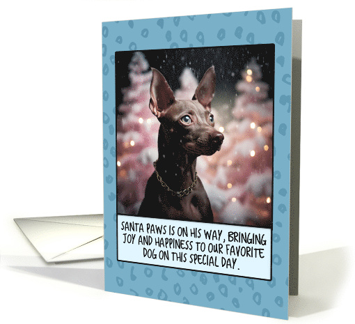 Mexican Hairless Dog Christmas card (1804488)