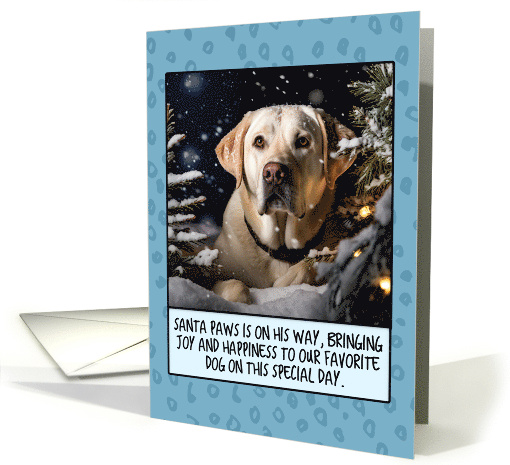 Labrador Retriever Light Christmas card (1804496)