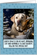 Labrador Retriever Light Christmas card