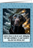 Labrador Retriever Dark Christmas card