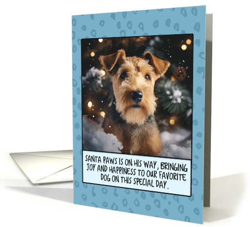 Lakeland Terrier Christmas card (1804500)