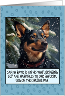 Lancashire Heeler Christmas card