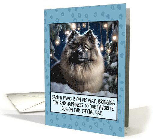 Keeshond Christmas card (1805220)