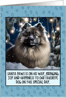 Keeshond Christmas card