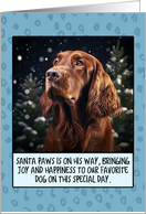 Irish Setter Christmas card