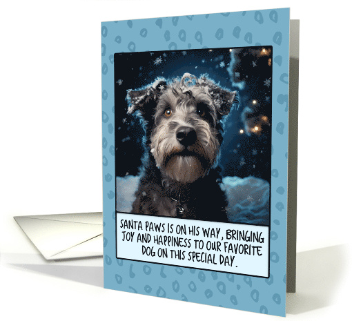 Hungarian Pumi Christmas card (1805284)