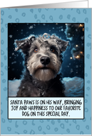 Hungarian Pumi Christmas card