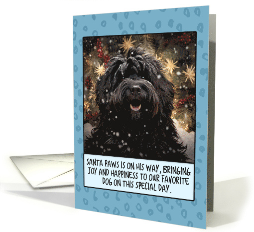 Hungarian Puli Christmas card (1805286)